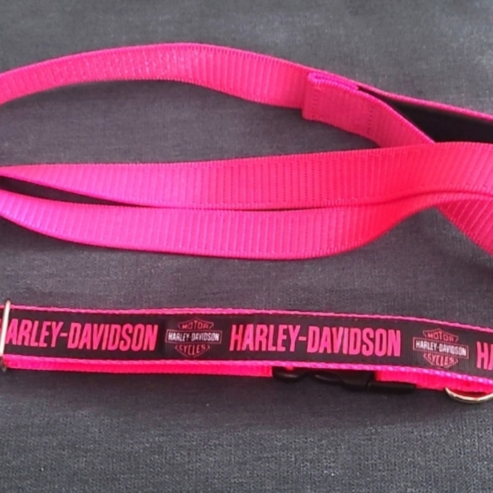 Harley Davidson Collar and lease 1x6